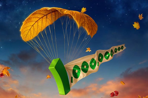 جشنواره اسنوا