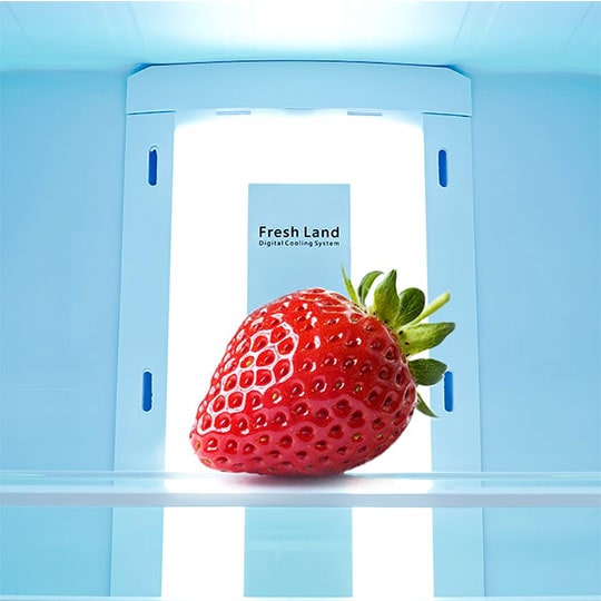 یخچال و فریزر بالا و پایین دوو مدل ARBMI-10GW